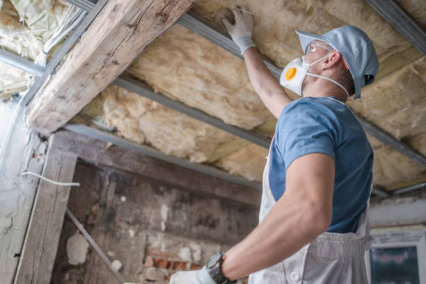 Best Commercial Insulation in Squaw Valley, CA
